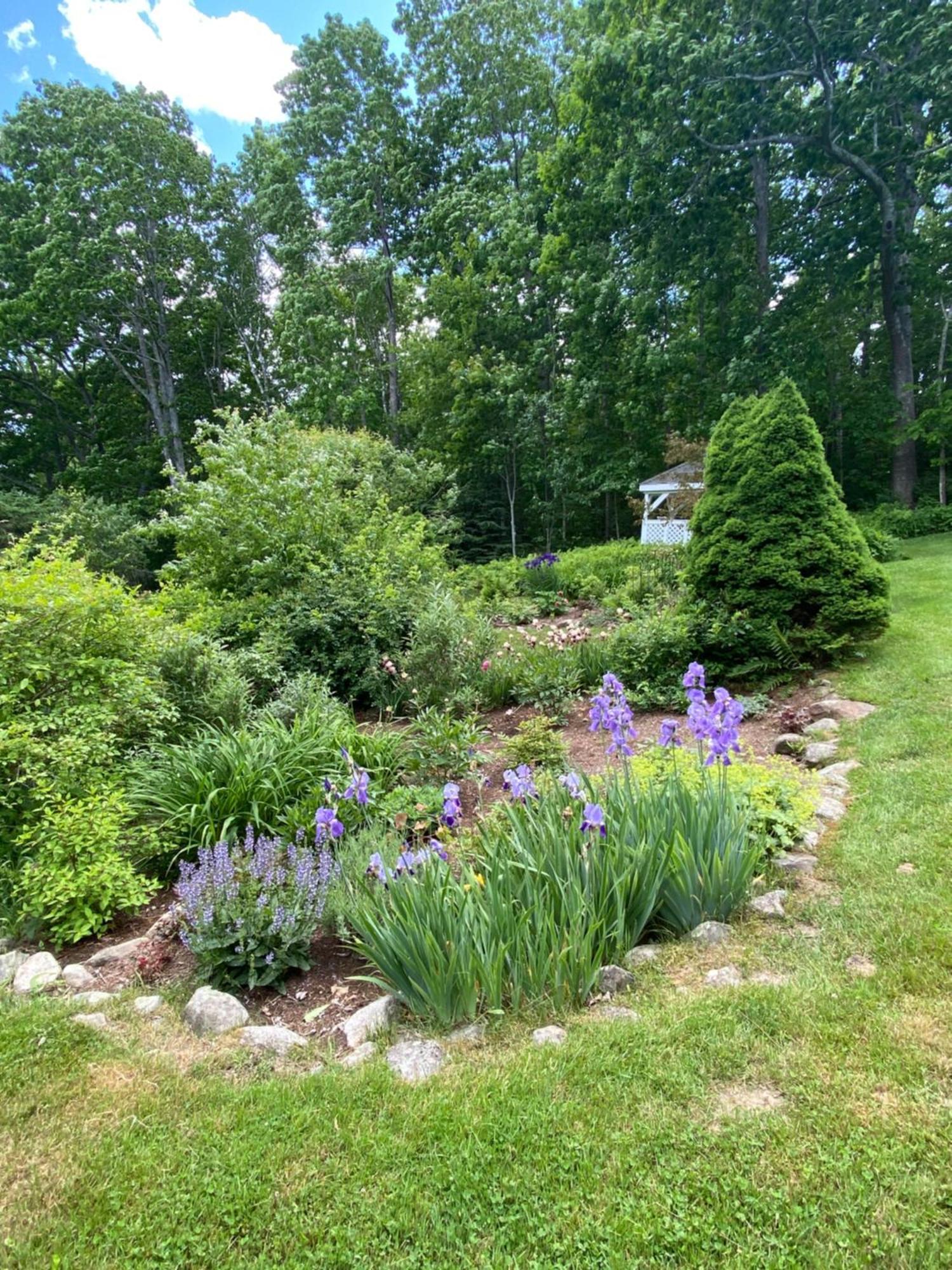 Victorian By The Sea Bed and Breakfast Lincolnville Buitenkant foto